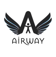 Wings above the accessibility logo