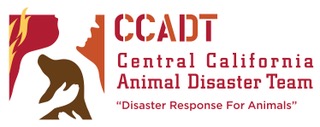 dog being held by a human with flames behind them both CCDT Central California Animal Disaster Team 