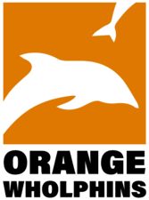 dolphins with an orange background